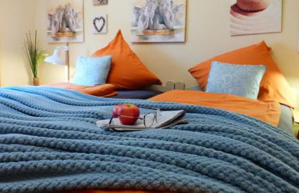 Kleines Studio Eisvogel - Photo 1