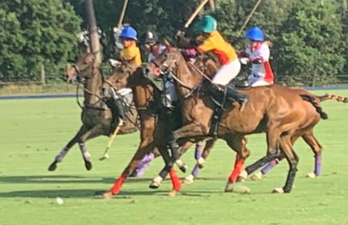 Maremma 1851 - Photo 73