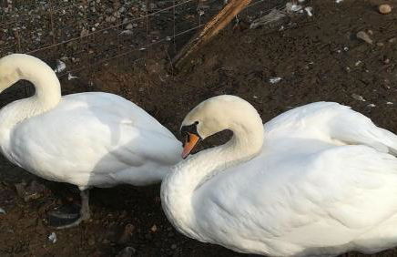 Agriturismo Dolce Luna - Foto 58