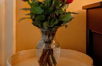 TreeTops Spacious Architectural Retreat - Foto 47