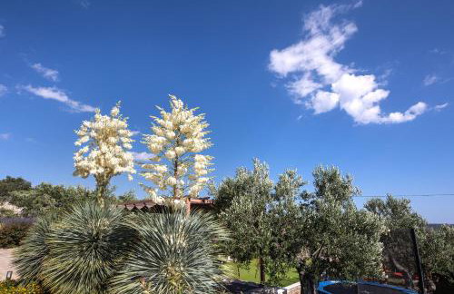 Villa True Oasis with Heated Pool - Photo 36