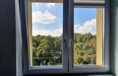 Forest House - Foto 14