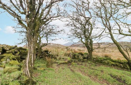 Ballard Cottage Annexe - Foto 16