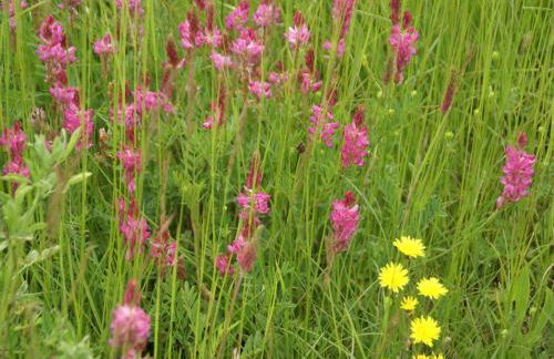 Nature & Adventure Highlights - Foto 23