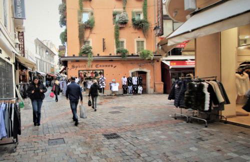 Cannes Apartment close to Congress Palace, Croisette, Beaches - Foto 36