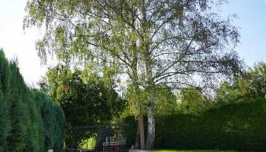 Birkenblick - Ferienwohnung Owwe - Foto 5, Garden