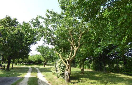 Silea Apartments, Pool, Garden, Treviso - Foto 19