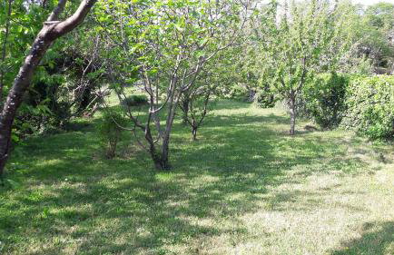 Apartment Lucija - Foto 32