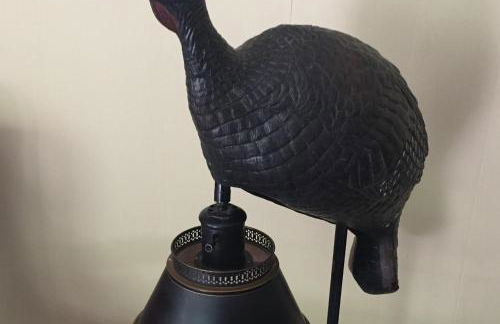 Sparkling Frio - Foto 38