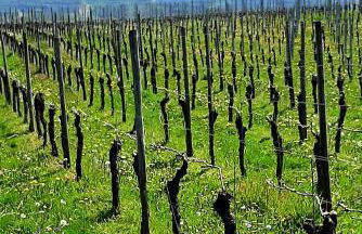 Ferienwohnung "Am Blauwasser" mit Infrarotkabine - Foto 21