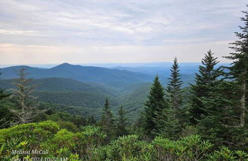 Life's Good Retreat Bear Cottage - Foto 36