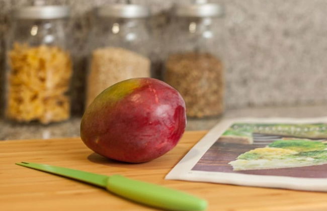 Sant Antoni Apartments - Photo 15