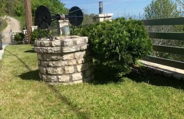 Konstantakos Michail - Photo 22