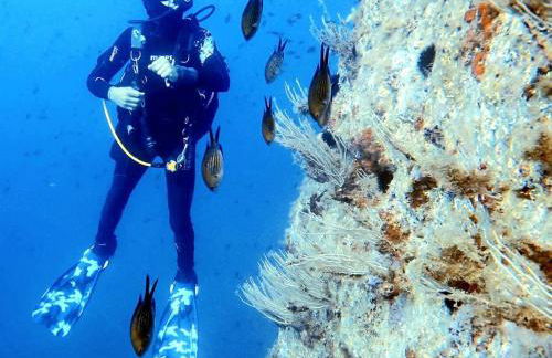 Maravilloso dúplex en primera línea de mar - Foto 22