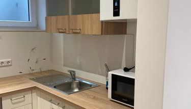 Apartment für Urlauber, Geschäftsreisende oder Langzeitmieter - Foto 5, dishwasher