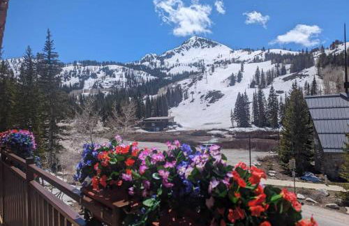 Brighton Ski Resort Hidden Falls 1 Bedroom Chalet Utah - Foto 4