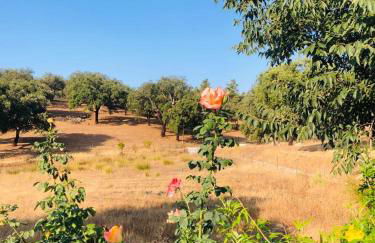 Casa do Forno Évora retreat - Foto 49