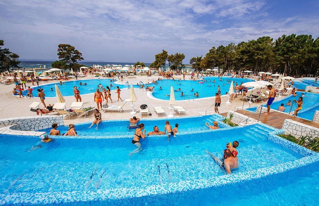 Apartments in Zaton Holiday Resort With Pool - Foto 14