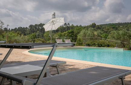 Poggio Al Palio - Foto 72