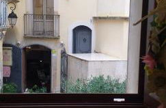 Le camelie - Foto 66