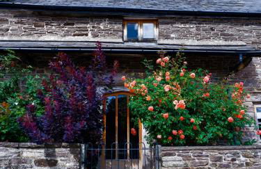 Mountain View Farm Cottage - Foto 27