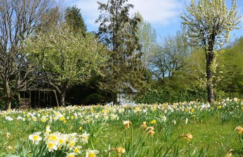 NEW - Beautiful, spacious Beechwood Lodge with lovely gardens - Photo 8