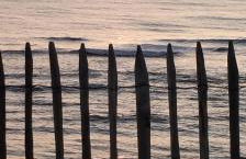 ENTRE LAC ET OCEAN SPACIEUSE ET CALME - Photo 2