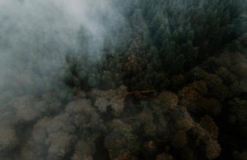 Rockford Cottage 3 Bed Modern New Forest House with Garden - Foto 50