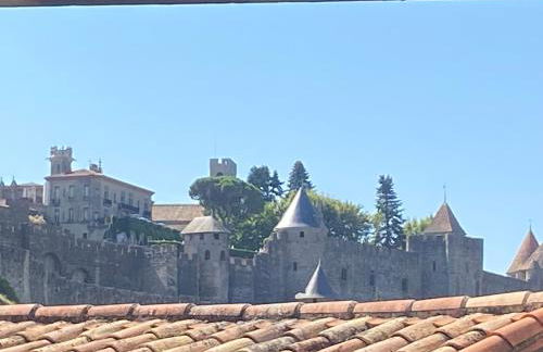 Au pied de la Cité Médiévale, piscine, vue extraordinaire, gîte La Trivala à Carcassonne - Photo 36