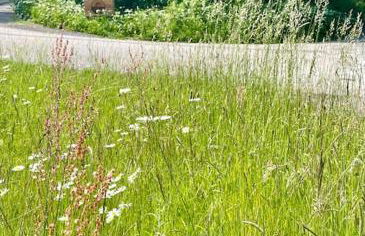 Barn Cottage -Westerlands - Foto 13