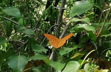 Il Borgo della Zittola - Foto 62