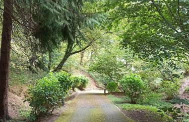 IL Bosco di Campo Marzano Sunlight - Foto 63