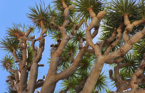 Great views & heated pool - El Perenquen 1 - Foto 35