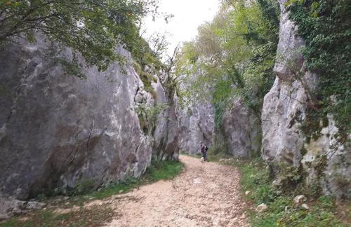 Rural Apartment Carolina - Foto 33