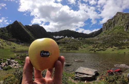 Apartment in NOVELLA 41460 - Photo 22