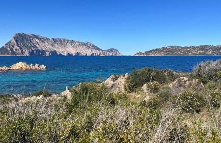 Wanna's Apartment Olbia - Foto 22