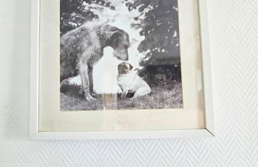 Ferienwohnungen Dorfliebe Dörnberg - Foto 26