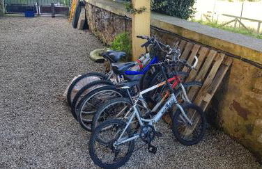 Fancornio Rural - Photo 10