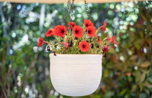 Trullo Leone - Foto 7