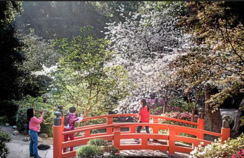 SoCal Lux on Miramar - Foto 37