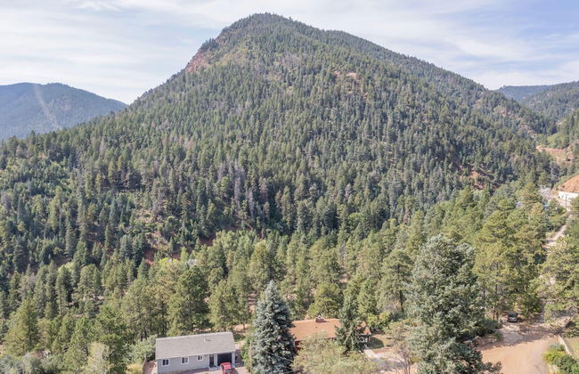 4BD Palmer Lake Mountain Getaway & Local Attractions - Foto 27