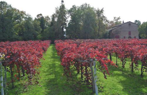 Alloggio Cantalupo - Foto 11