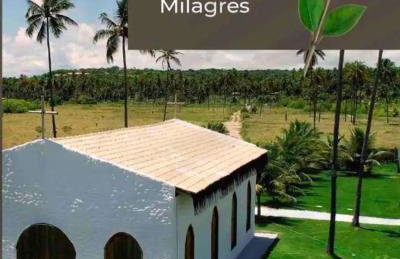 7 ESTRELAS PATACHO - Foto 35