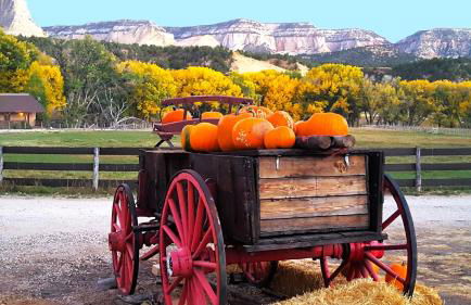 Arrowhead Country Cabins - Foto 20