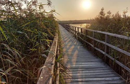 Gemütliche Wohnung am Federsee - Foto 16