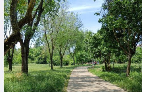 Vacanze romane - Foto 19