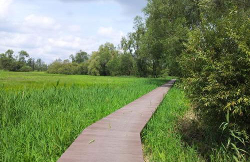 Spreewaldhaus zum Schoberplatz - Foto 12