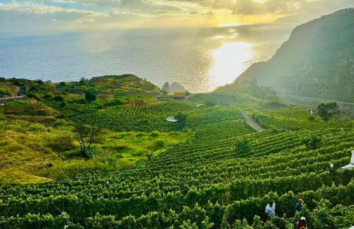 Dani House - Porto Moniz Escape - Foto 7