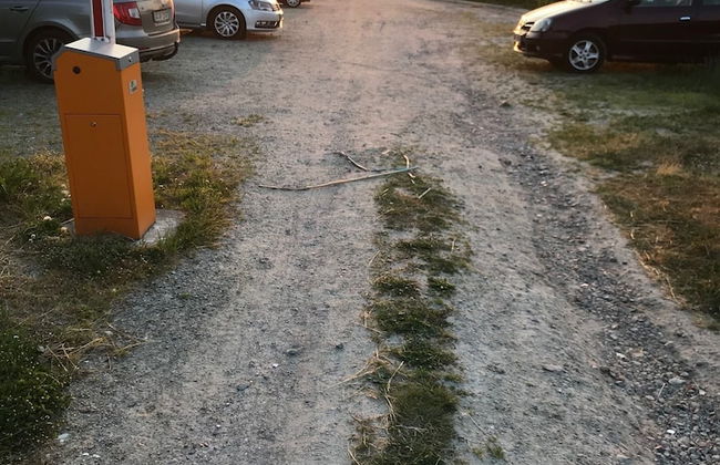 Haus Strandeck - Foto 39