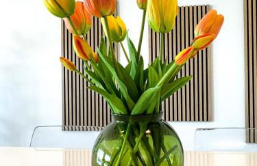 Super panoramic new apartment in Casertavecchia - Foto 19